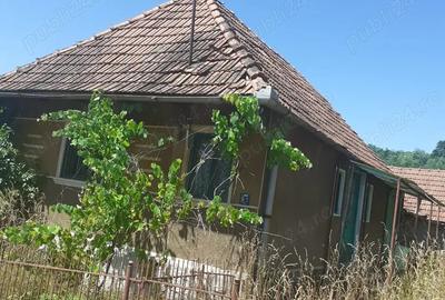 Casa de vanzare