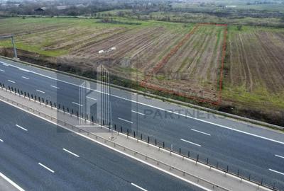 Teren 2727mp | Moara Vlasiei, Caciulati | A3 - 1