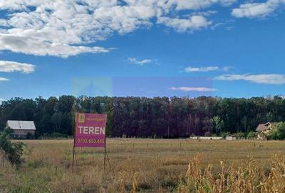 Teren de 11157 mp, în Gulia - 4