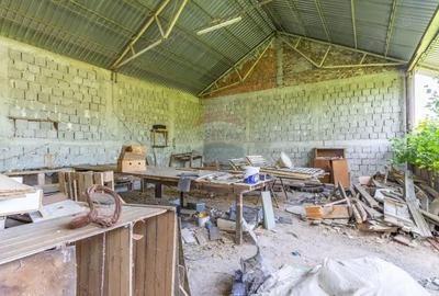 Proprietate versatila cu casa, doua hale ?i teren generos - 17