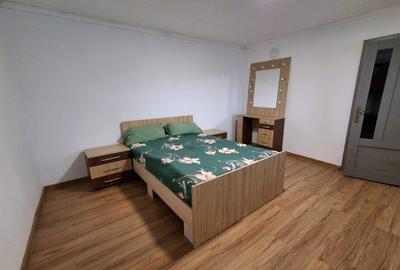 Casă de vânzare în Pauliș – teren 1972 m² - 5