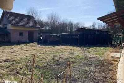 Casă cu 1 camere cu Teren 4400 Mp în Păsăreni - 7