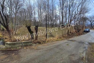 Teren de vanzare in comuna Arefu, jude? Arge?. - 10