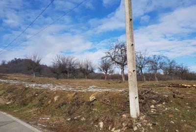 Spațiu comercial, în Stâlpeni - 2
