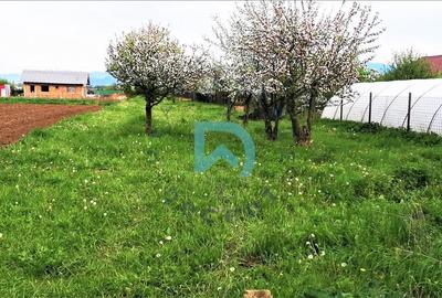 Vanzare teren intravilan, Sanpetru, Livada - 3