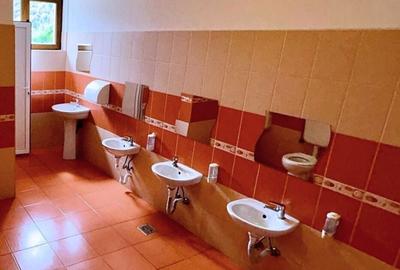 Inchiriere casa individuala multifunctionala zona rezidentiala Bunloc - 11