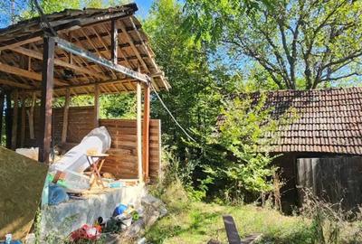 APUSENI! Casa modernizata cocheta, teren imens langa padure, Brad (Hd) - 9