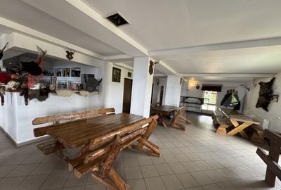 Proprietate turistica in Varful Roman Horezu, vedere - 26