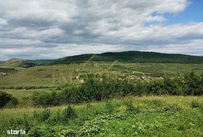 Teren de 2200 mp, în Baciu - 1