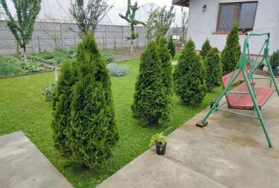 Casă cu Teren 1000 Mp în Copăceni - 4