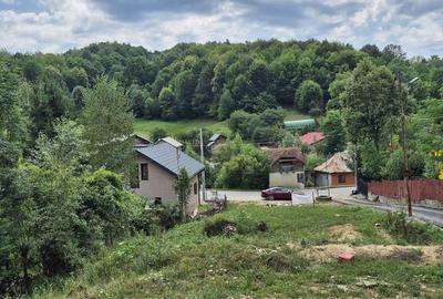 Teren intravilan-935 mp-dubla deschidere, Breaza-Valea Tarsei - 8