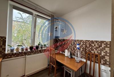 Apartament 2 camere/de vanzare/Calea Severinului - 7