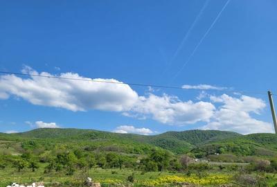 Teren de 1000 mp, în Ghioroc - 4