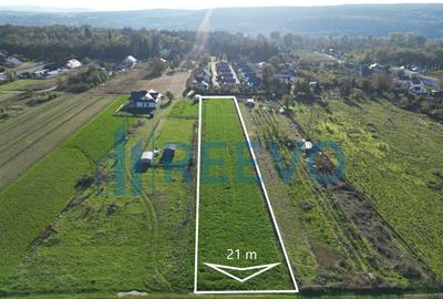 Teren 3.600 mp Lilieci - 4