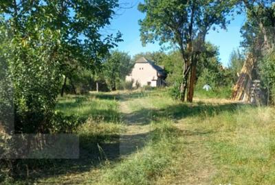 Casă cu 3 camere cu Teren 7600 Mp în Central - 4