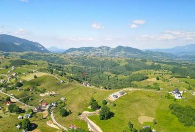 Teren de 13000 mp, în Șirnea - 18