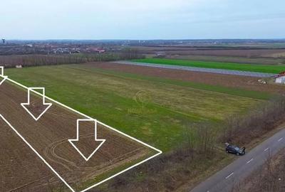 Teren în Medieșu Aurit - 4