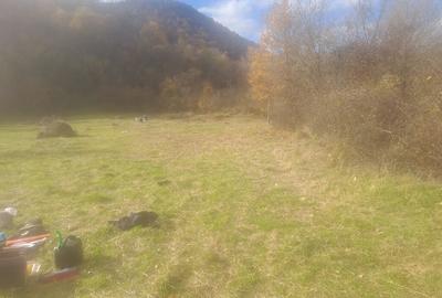 Teren langa apa 2230mp MEHADIA - 6