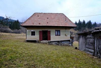 Teren de 5814 mp, în Călimănel - 3