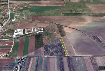 TARTASESTI - Str. Giurgiului, 20.000 mp. teren din care 12.500 in INTRAVILAN - 6