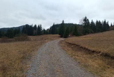 Teren intravilan de vanzare - 2