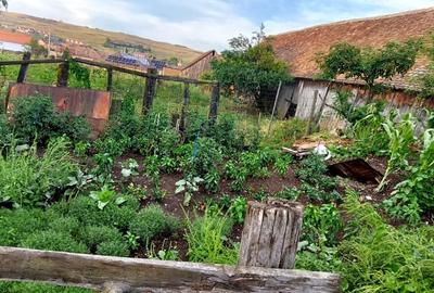 Casa 6 camere suprafata utila 190mp si teren 1440mp,spre vanzare in NOU SB Casa 6 camere suprafata utila 190mp si teren 1440mp,spre vanzare in NOU SB - 19