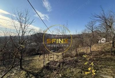 Casa moderna 5 camere Drajna de Sus, teren generos si pomi fructiferi - 6