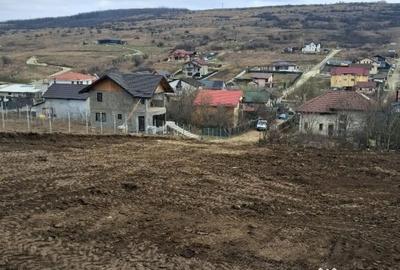 Teren de 1350 mp, în Dorobanț - 12