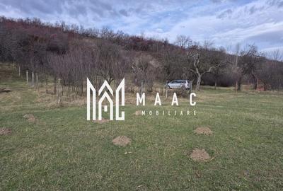 Teren de vanzare | Orlat | Extravilan - 8