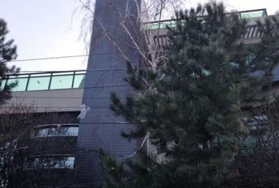 Spațiu comercial, de 350 mp, în Colentina - 38