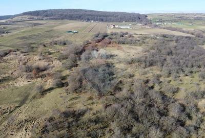 Teren agricol extravilan de 20146 mp, în Dâmbul Rotund - 16