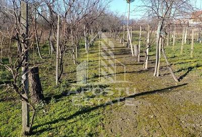 Casă cu Teren 2158 Mp în Freidorf