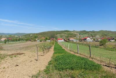 Spațiu comercial, în Vladimir - 1