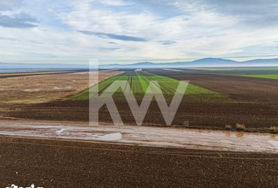 Teren de 16000 mp, în Hărmanului