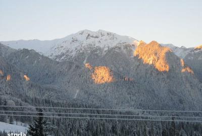 Teren de 10000 mp, în Forban - 2