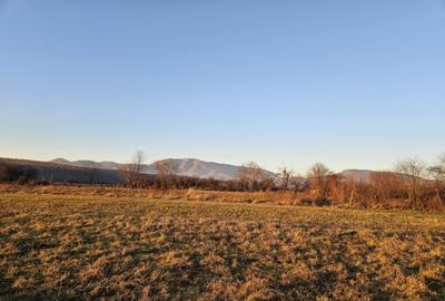 Teren intravilan 1555 mp - Arcani - 13 km de Tg. Jiu - 2