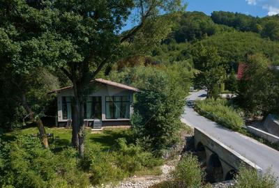 Casa de vacanta superba -Cheile Rasnoavei- liniste, natura si confort! - 15