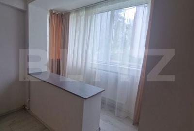 Apartament cu 2 camere semidecomandat în Roșu - 10