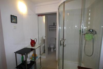 Casa singur curte, gradina mare frumoasa, Eminescu,Tunari - 4