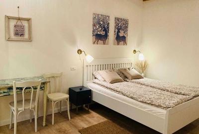 Apartament decomandat în Horea - 6