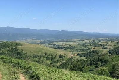 Casa cu teren ,Camp Mo?i, jude?ul Bihor - 10