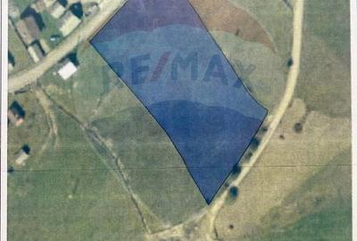 Teren agricol extravilan de 4914 mp, în Giurcuța de Sus - 4