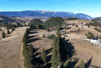 Priveliste Bugeci, Magura, Piatra Craiului | PUZ aprobat Pensiune - 5