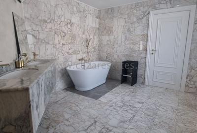 PIPERA IANCU NICOLAE VILA LUX RENOVATA COMPLET 2022 - 45