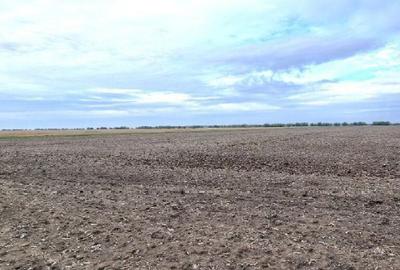 Teren de 5000 mp, în Vâlcelele - 6