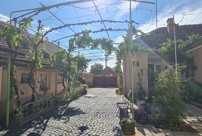 Casă individuală cu 8 camere cu Teren 1188 Mp în Micălaca - 3