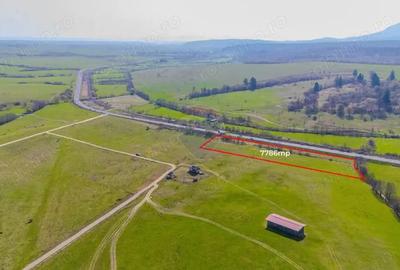 Teren de 7786 mp, în Vlădeni - 4