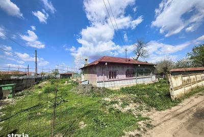 Teren de 975 mp, în Cernica - 5