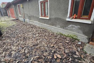 Casă cu Teren 208 Mp în Berceni