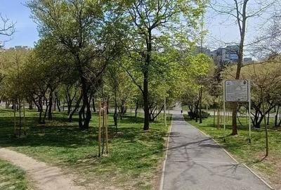Apartament cu 2 camere semidecomandat în Pantelimon - 12